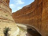 GOLE DI SELDJA 8